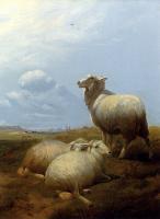 Thomas Sidney Cooper - Sheep At Pasture